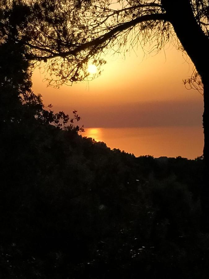 Sa Talaia Villa Lluc Buitenkant foto